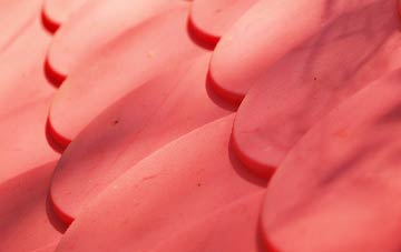 Wyaston plastic roof costs